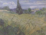 Vincent Van Gogh Green Wheat Field with Cypress (nn04) oil painting picture wholesale